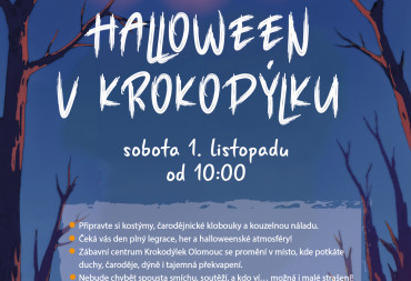 HALLOWEENSKÁ PÁRTY V KROKODÝLKU