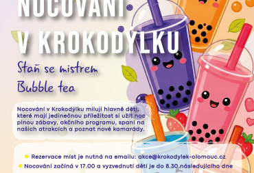 Nocování na téma Bubble tea