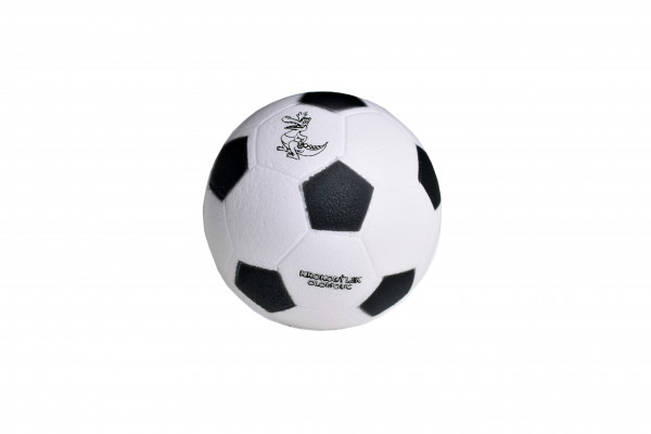 Fotbalový balón